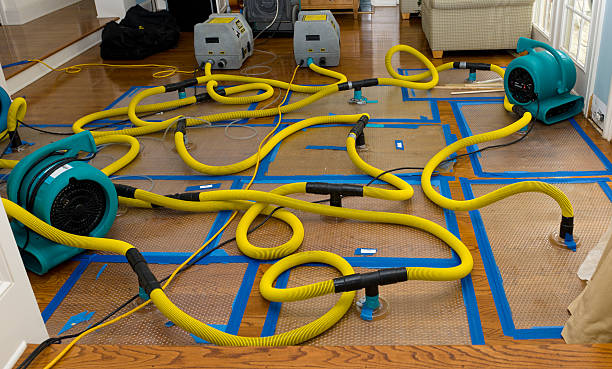Professional Emergency Water Removal technician working in Marissa, IL